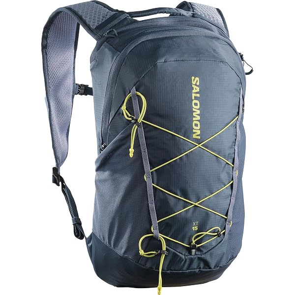 Amazon.co.jp: [サロモン] バックパック・リュックサック XT 15 OG
